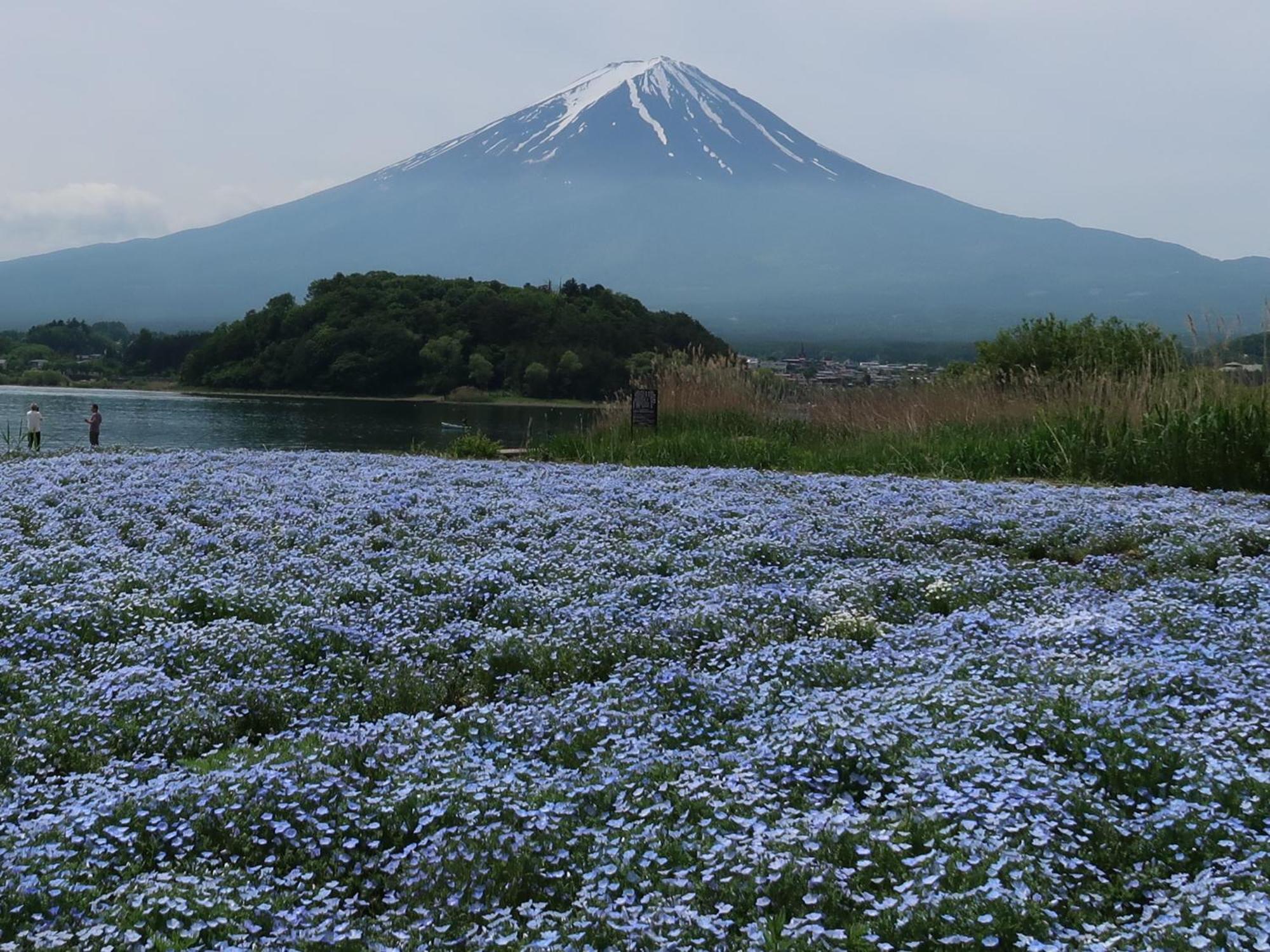 Kuranoyado Matsuya Fujikawaguchiko Exterior foto